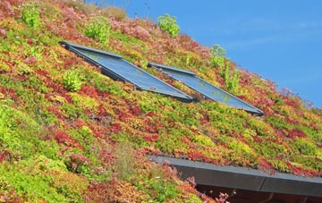 Swinnie living roof systems