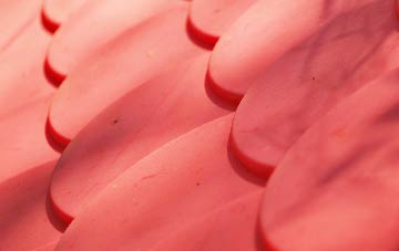 Swinnie plastic roof costs