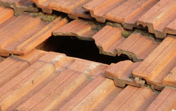 roof repair Swinnie, Scottish Borders